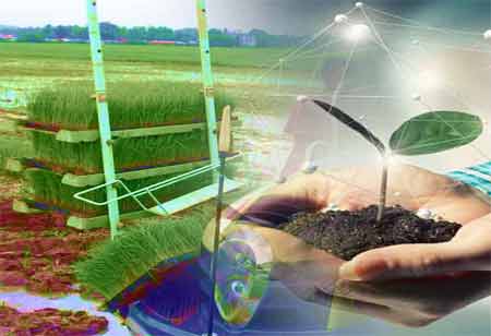 Evaluating the Economic Viability of Biostimulants in Agriculture